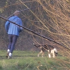 Jogger en honden op klompenpad