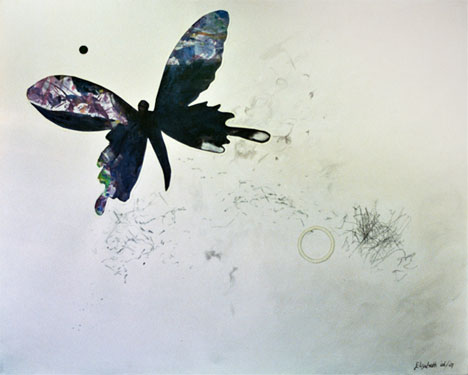 imago2